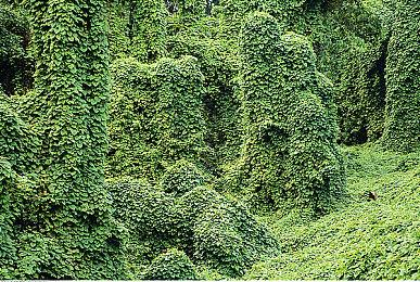 《黑神话：悟空》在B站上线投稿活动 国外宣传也开启